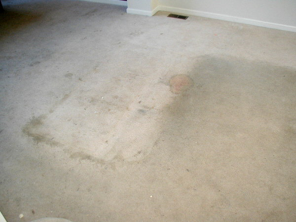 Carpet Cleaning Before and After Result 1